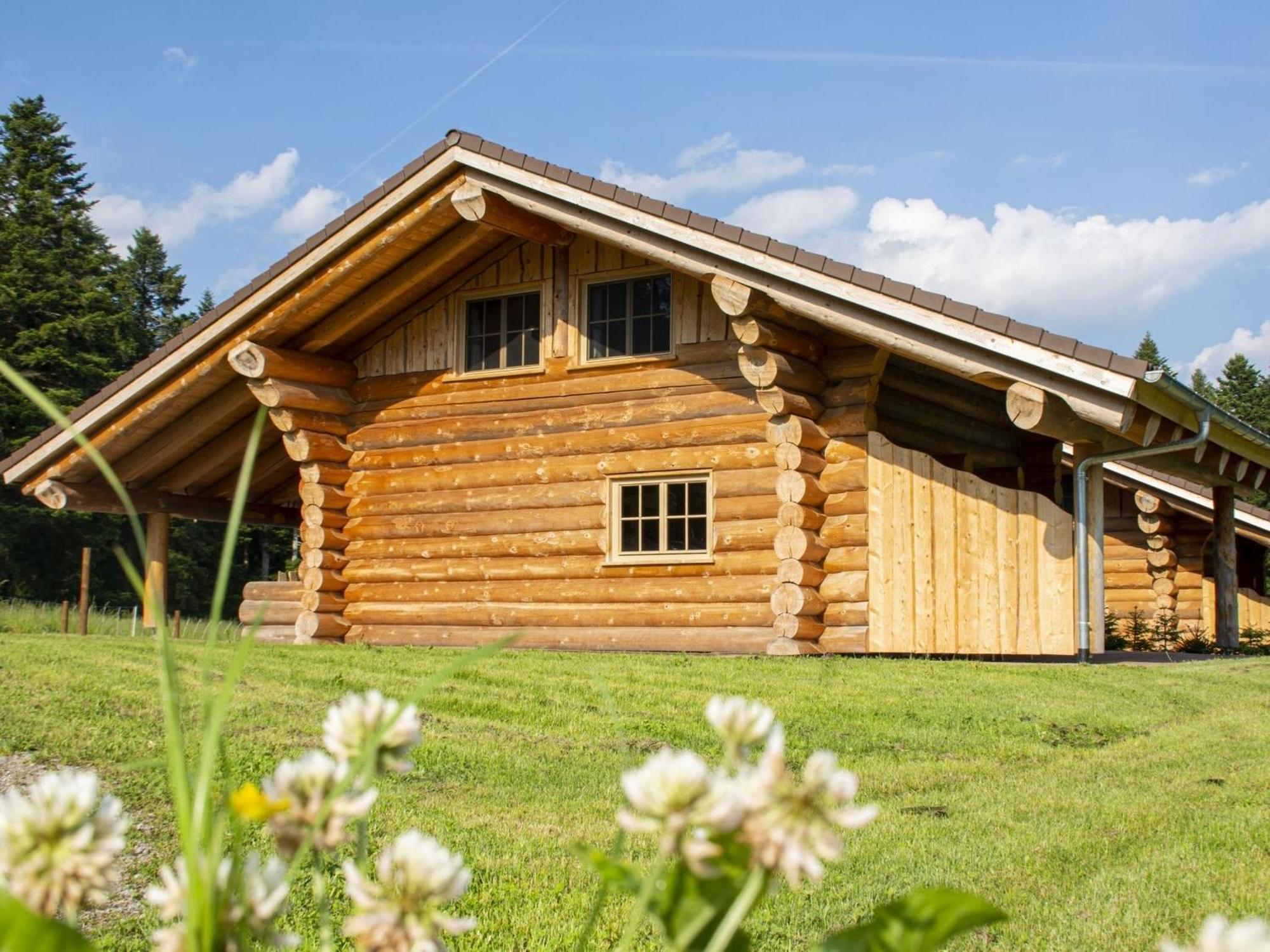 Blockhaus Almhuette Wiesenglueck Hébergement de vacances Glatten